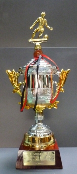 Trofeo Copa de Futbol