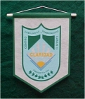 GALLARDETE DE SATEN 2