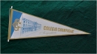 BANDERIN TRIANGULAR 1