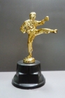 TROFEO ARTES MARCIALES