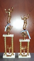 Trofeo Voley 2 Columnas